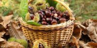 images (4)